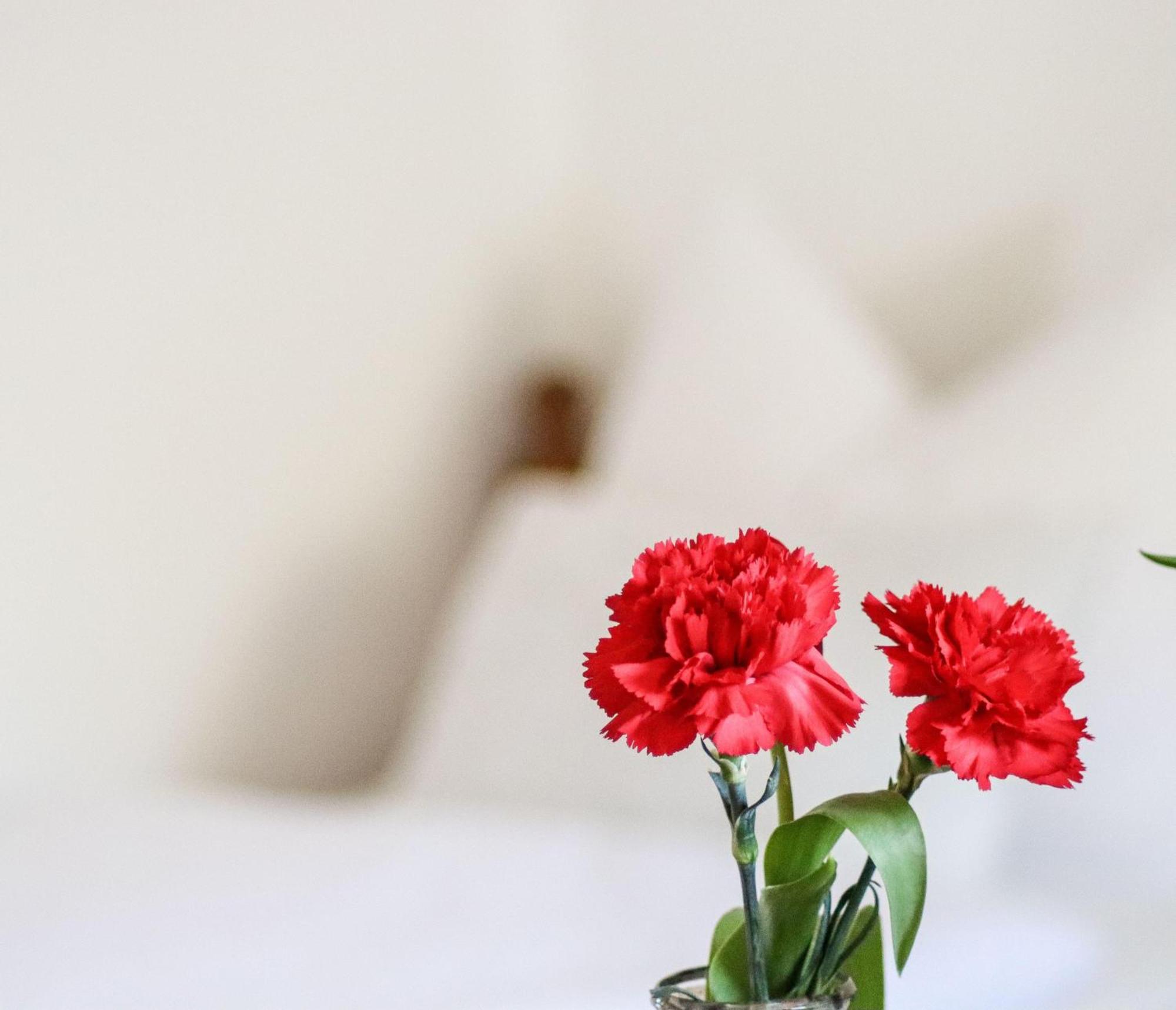 Apartment Vordermitterast Κίρχμπεργκ ιν Τιρόλ Εξωτερικό φωτογραφία