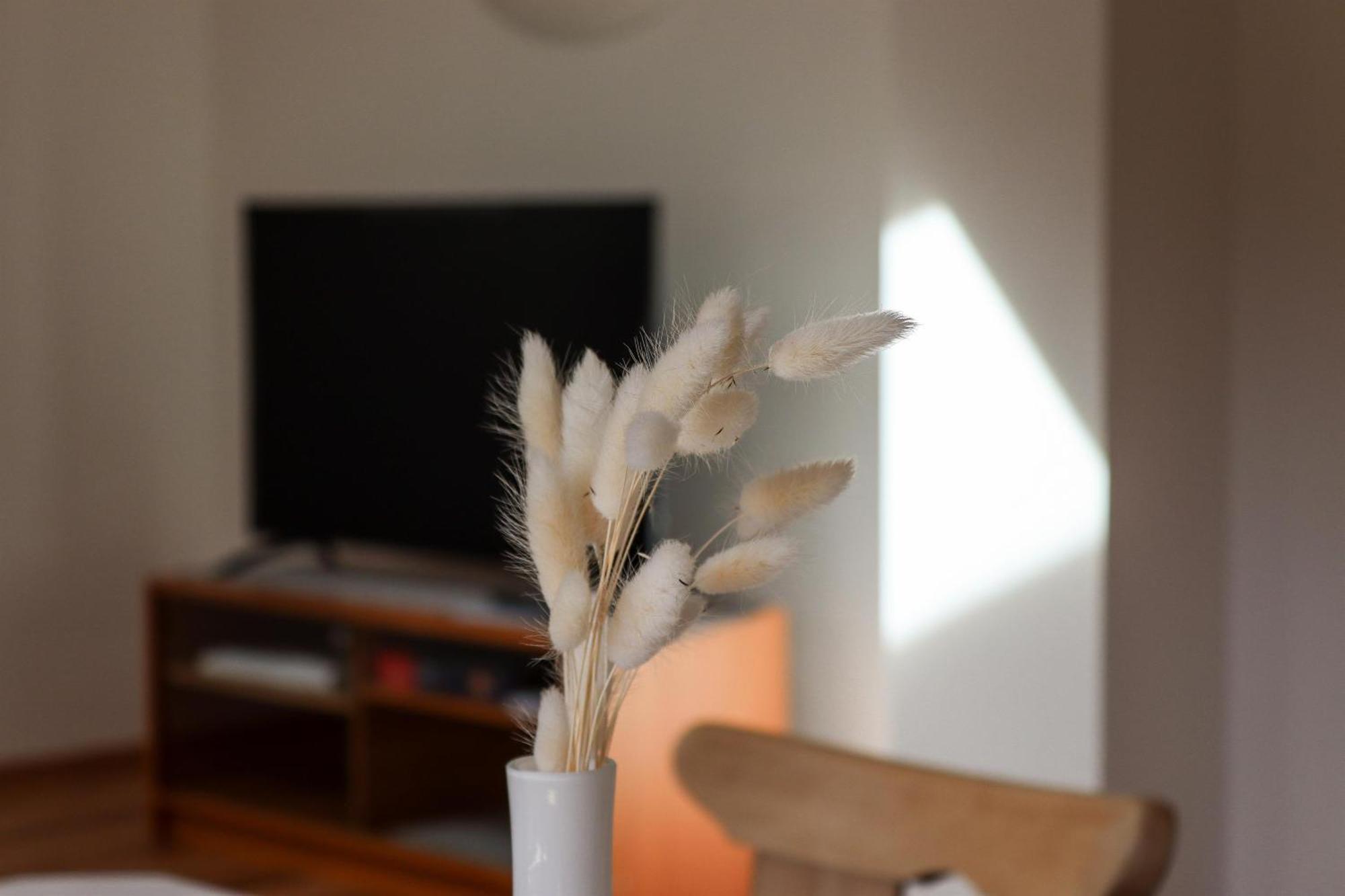 Apartment Vordermitterast Κίρχμπεργκ ιν Τιρόλ Εξωτερικό φωτογραφία